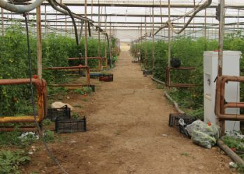 AKP tarım ve hayvancılığı bitirdi