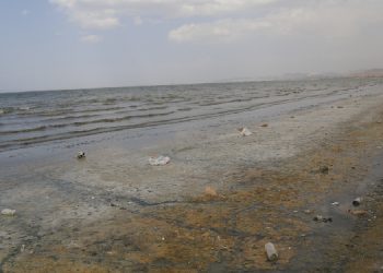 Van Gölü’nde kuraklık alarmı: Su seviyesi düşüyor