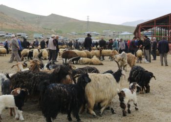Çiftçinin alım gücü kalmadı