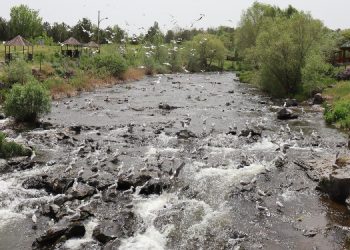 İnci Kefali HES tehdidi altında
