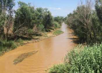 Alaşehir Çayı kimyasal akıyor!