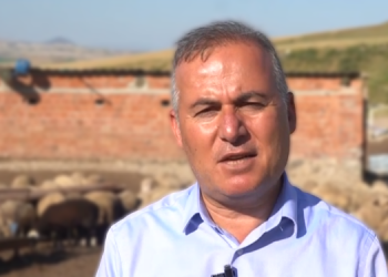 Ankara Damızlık Koyun ve Keçi Yetiştiricileri Birliği Başkanı Kılınç: Kıymanın fiyatı kuzu etinin üstünde Ankara Damızlık Koyun ve Keçi Yetiştiricileri Birliği Başkanı Kılınç: Kıymanın fiyatı kuzu etinin üstünde
