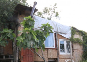 Atık tahtalardan inşa ettiği evinde ekoloji mücadelesi veriyor