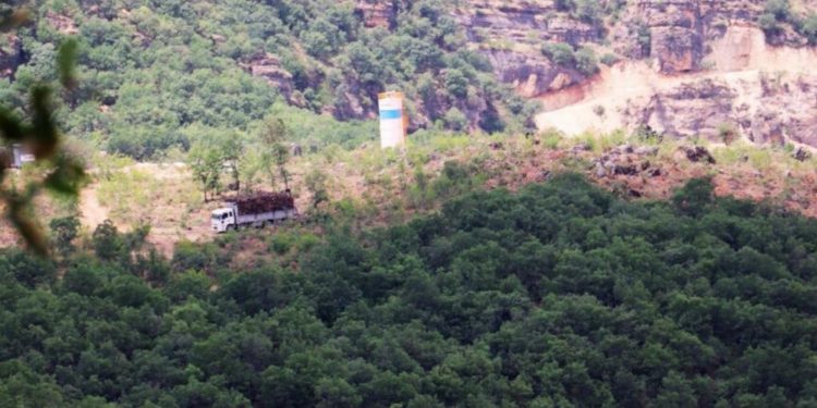 “Geliyê Godernê’deki ağaçlar hangi gerekçeyle kesiliyor?”