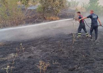 Siirt’te 65 dönümlük tarla küle döndü