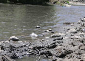 Şırnak’ın içme suyu kömür akıyor!
