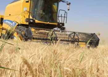 Çiftçi kaybediyor, fırsatçılar piyasayı hortumluyor