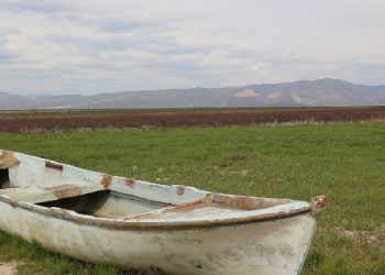 Çölleşme ve Kuraklık Günü: Dünya yok oluşa gidiyor