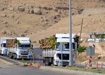 Orman kıyımının yaşandığı Şırnak’ta vali fide dağıtıyor