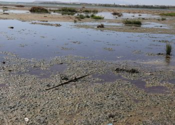 Van Gölü’ne saniyede bin 800 litre kanalizasyon suyu akıtılıyor