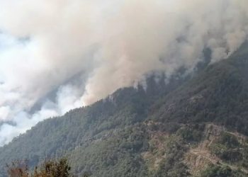 Çankırı’da ormanlık alanlara giriş yasaklandı