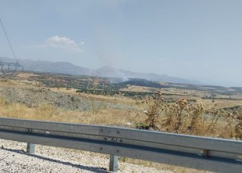 Licê’de orman yangını