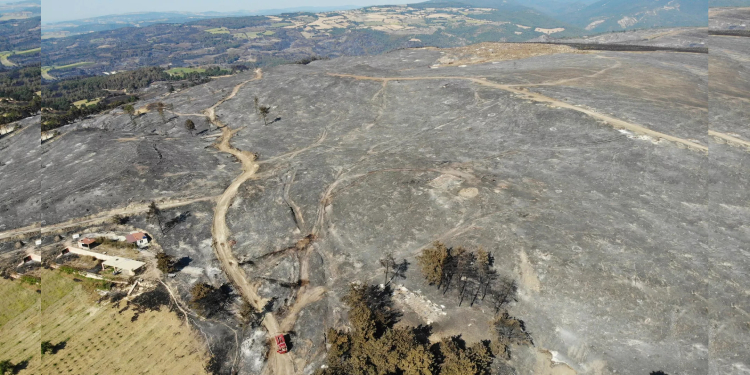 52 saat sonra kontrol altına alınan Çanakkale’deki orman yangını bölgesi havadan görüntülendi 52 saat sonra kontrol altına alınan Çanakkale’deki orman yangını bölgesi havadan görüntülendi