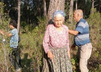 88 yaşındaki İkizköylü: Kesim son bulana kadar direneceğim
