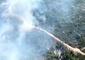 Manisa’da orman yangını