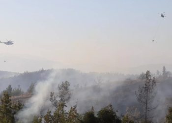 Adana’da çıkan orman yangını söndürüldü