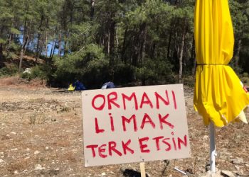 Akbelen’e TOMA ve jandarma yığınağı: Ağaç kesimi başladı