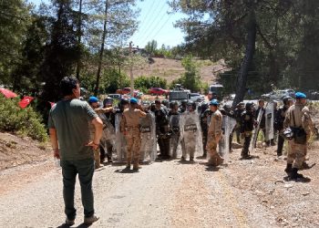 Akbelen’de Gözaltına Alınan Çevreciye, “Jandarmayı Darp Ettin” Suçlaması