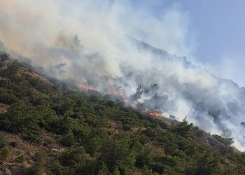 Aydın’da orman ve makilik alanda yangın: Çok sayıda ekip müdahale ediyor