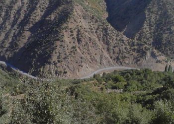 Bitlis’te sokağa çıkma yasağı sonrası operasyon