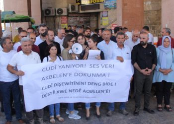 “Canımız Akbelen’deyken, Cudi’de yakılan ormanlarla nefesimiz kesilmek isteniyor”