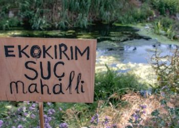 “Ekokırımın suç sayılması için toplumsal baskıya ihtiyaç var”