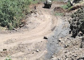 Geliyêhirçê bölgesinde ağaç kıyımı