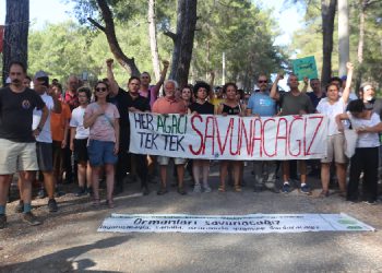 Gençler Akbelen’de: Geleceğimize sahip çıkıyoruz