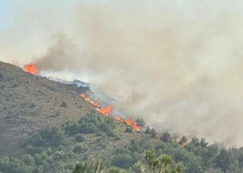 Gökçeada’da orman yangını: 16 saat sonra kontrol altına alındı
