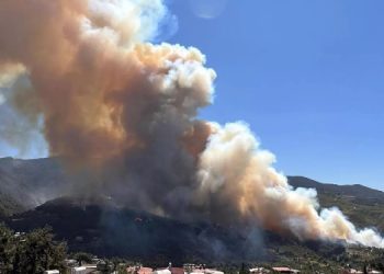 Hatay’da orman yangını: Alevler yerleşim yerlerine yaklaşıyor