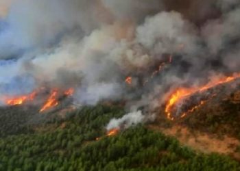 Marmaris’te iki ayrı noktada orman yangını
