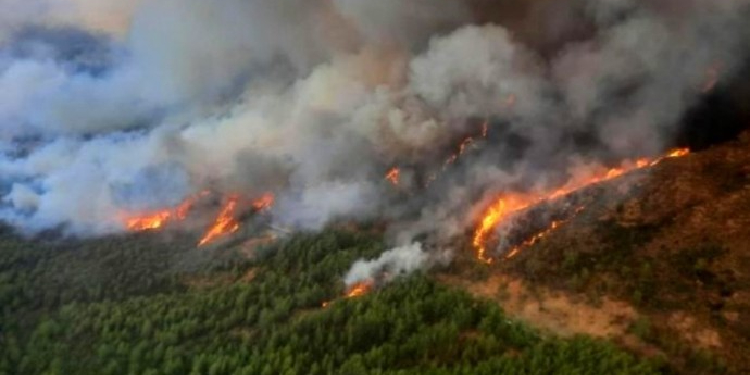 Marmaris’te iki ayrı noktada orman yangını Marmaris’te iki ayrı noktada orman yangını