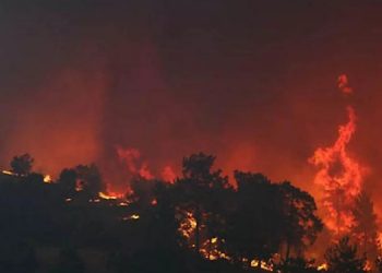 İtalya’da yılbaşından bu yana 73 binden fazla futbol sahasına denk alan yandı