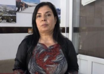 KNK Eşbaşkanı Murad: Tecridi kıracak unsur Kürtlerin birliğidir