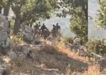 Derecik’te koyunları otlatan 4 genç gözaltına alındı Derecik’te koyunları otlatan 4 genç gözaltına alındı