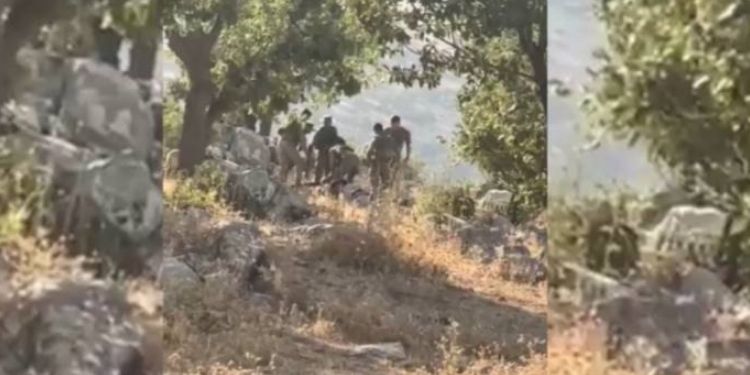 Derecik’te koyunları otlatan 4 genç gözaltına alındı Derecik’te koyunları otlatan 4 genç gözaltına alındı