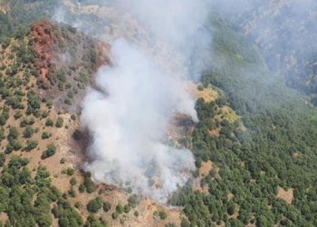 Manisa’da orman yangını