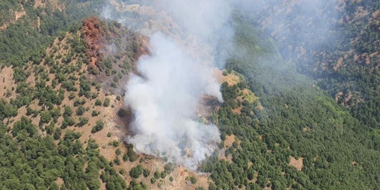Manisa’da orman yangını Manisa’da orman yangını