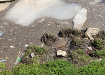 Kayyımların “Cilo Fest”inden geriye çöp kaldı