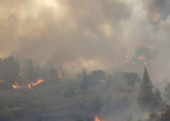 Manavgat’ta orman yangını: Havadan ve karadan müdahale ediliyor