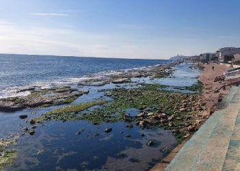 Marmara Denizi’nde tehlike çanları çalıyor: Kirlilik Karadeniz’in en az 2 katı