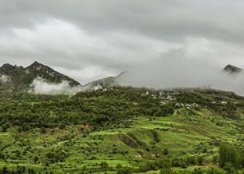 Ormanlık alanlar iktidarın hedefinde