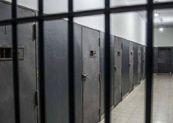 Yeşil Sol Parti’den İnfaz Kanunu’nda değişiklik teklifi