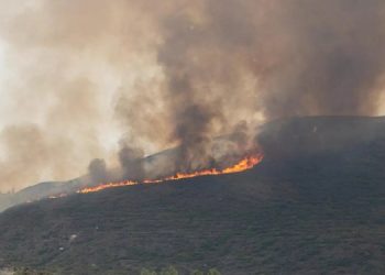 Yunanistan’daki şiddetli yangınlara ilişkin ‘durum daha iyi’ açıklaması