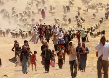 Sosyolog Barış: 74’üncü Ferman Türkiye’nin saldırılarıyla sürüyor