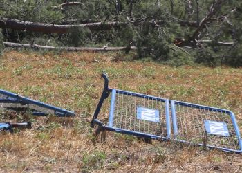 Akbelen sonrası Muğla’yı ne bekliyor?