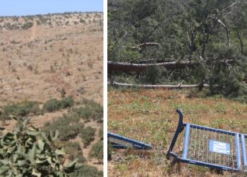 Ekolojik talana karşı ortak refleks gösterilmeli