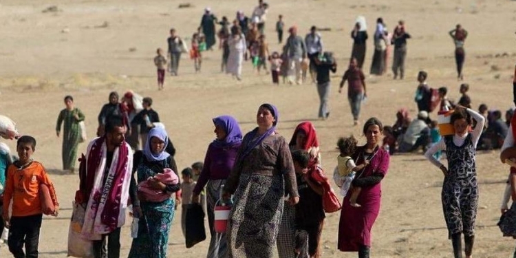 74’ün Ferman üzerinden 9 yıl geçti: Şengal’in statüsü tanınsın 74’ün Ferman üzerinden 9 yıl geçti: Şengal’in statüsü tanınsın