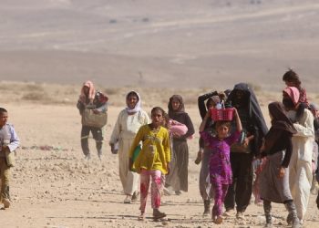 Yeşil Sol Parti’den kanun teklifi: Êzidî katliamı ‘soykırım’ olarak tanınsın