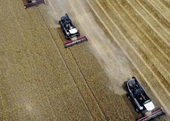 Peskov: ABD, tahıl anlaşmasının Rusya’yla ilgili bölümünün ifasına katkı sunmalı